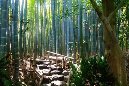 Hokokuji Temple (Takedera Temple) The Entrance To The Bamboo Grove