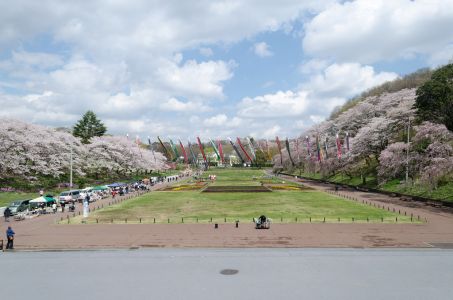 Kodomonokuni  Theme Park